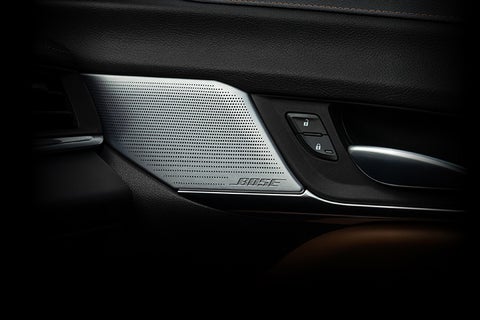 Eric von Schledorn Cadillac